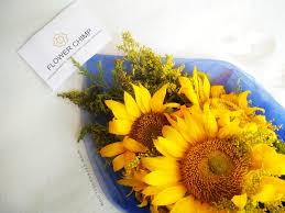 Bunga matahari atau biasa disebut sunflower tidak hanya memiliki bentuk mirip dengan matahari. Gaya Ransel Cerita Tentang Bunga Dari Berbagai Negara