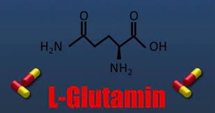 Büyüme hormonunun salgılanmasına yardımcı olmak, hücrelerin nitrojen alımını zenginleştirmek, protein sentezini artırmak, hücre hidrasyonunu artırmak. L Glutamin Sinnvolles Supplement Oder Geldverschwendung