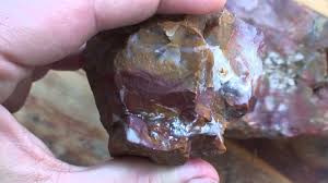 The value of your rock is much harder to determine. How Much Is Petrified Wood Worth Plus What Affects Value
