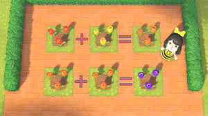 The rare hybrid mystery island tulip flowers come in black, orange, and pink. Hybrid Flower Breeding Guide Cross Pollination And How To Cross Breed Flowers Acnh Animal Crossing New Horizons Switch Game8