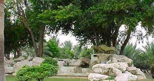 abqaiq the friendly city life friendly city