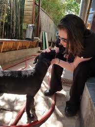 Maybe you would like to learn more about one of these? Patient Paws Mobile Vet