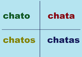 El chato es un bistró contemporáneo que rinde homenaje a los productores con los que trabajamos. The Word Chato In Portuguese Portuguese Language Blog