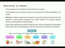 cl 7 sc chapter 1 nutrition in plants