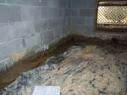 Would it be possible to dig it out and finish it into a basement? 5 Essential Steps To Dig Out Crawl Space Building Construction Civil Engineering Structural Designs January 2021