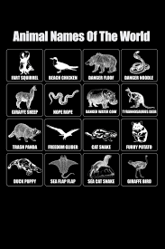 Goo.gl/x0uifm fred and learn animal names funny animals care game for kids link video. Amazon Com Animal Names Of The World 6x9 Composition Notebook 100 Blank Ruled Lined Pages Book To Write In Trendy Diary Funny Animal Names Slang Cute Girls Boys Teachers Class School Office