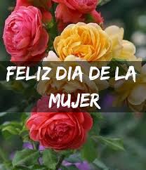 Porque a la mujer se le puede achacar muchas cosas, pero sobre todo valentía. Frases Dia De La Mujer 2020 Cortas Y Bonitas Imagenes Para Celebrar Y Desear Feliz Dia De La Mujer Con Frases Inspiradoras Para Mi Madre Esposa Hija Novia Hermana Y Amigas Mensajes