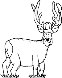 You can print it out or color online with the interactive coloring machine. Elk Funny Face Coloring Pages Download Print Online Coloring Pages For Free Color Nimbus