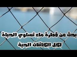 بحث او تعبير عن قطرة ماء تساوي الحياة لكل الكائنات الحية Youtube