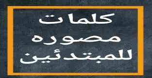 كتاب كلمات اللغة الانجليزية المصورة للمبتدئين In 2020 Novelty Sign Novelty Signs