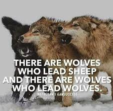 Pin By Leroy Kinnan On Wolves Wolf Quotes Lone Wolf Quotes Warrior Quotes