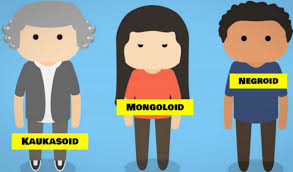 Warna kulit kuning pucat atau putih lobak, ukuran tubuh sedang, rambut hitam kejur, bentuk muka lonjong atau oval dan bulat, mata sipit. Jenis Jenis Ras Pengertian Klasifikasi Faktornya Lengkap