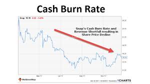 Cash Burn Rate Analysis Calculate Cash Burn