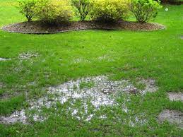Not knowing where to turn, homeowners often make the mistake of relying on a landscaper to resolve their yard drainage issues. Drainage Solutions Sod Source