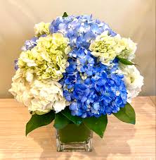 Find information to contact us or other answers to frequently asked questions related to online orders, account troubleshooting, digital coupons and more. Hooked On Hydrangea In Brooklyn Ny Floral Heights Inc