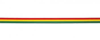 La Cinta En Colores De La Bandera Boliviana Bolivian Flag Flag Color