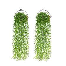 10 piante da esterno che non temono freddo e sole. Fotoe20 It Shop Pnnp 2 Pcs Piante Finte Da Interno Edera Artificiale Da Appendere Pianta Edera Artificiale Cadente Piante Artificiali Pendenti Rampicanti Pianta Artificiali Per Giardino Balconi Decorazioni Parete