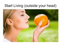 Inner and Outer Peace, PAX 120B Course Syllabus