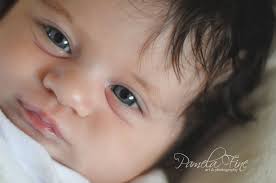 Pamela Fine Art & Photography