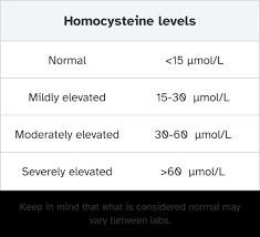 Image result for Homocysteine
