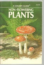 They are an illustrated series that comes read on to find out about the different categories of golden guide nature books that are available. Non Flowering Plants A Golden Guide By Floyd S Shuttleworth And Herbert S Zim Very Good Soft Cover 1967 Sabra Books