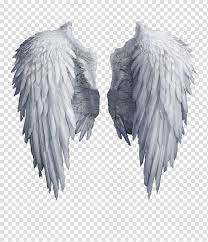 Archangel Wing Angel Wing White Angel Wings Transparent Background Png Clipart Angel Wings Art Dark Angel Wings Wings Artwork