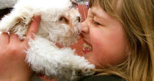 A Look Back at Ocean City's Woofin' Paws pet fashion show