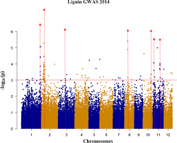 We did not find results for: Association Mapping Identifies Quantitative Trait Loci Qtl For Digestibility In Rice Straw Biotechnology For Biofuels Full Text