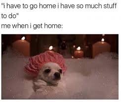We shouldn't be doing this as siblings. This Woman Got Stuck In Her Bathtub For 30 Minutes After Bathing In Coconut Oil Meme Ahseeit