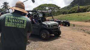 Check spelling or type a new query. Jurassic Park Tour Hawaii Mit Betty Taube Danielshawaii Hawaii Reise Tipps