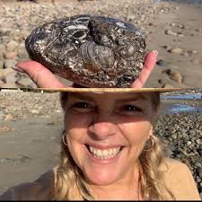 What is this rock found at Topanga?