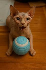 Cat safe toys for 2-year-old playful kitty