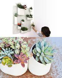 Magnetic Plant Wall Google Search Vertical Garden Small Vertical Gardens Growing Herbs Indoors