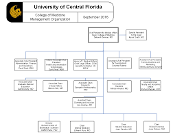 Faculty Handbook Organization