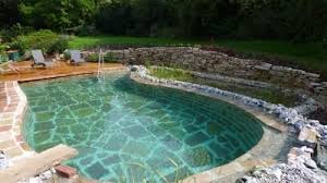 Bauarten Schwimmteich Naturpool Selberbauen In 2020 Schwimmteich Natursteinmauer Gartengestaltung