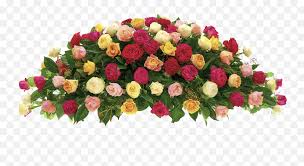 They are often the staples of creating floral displays for funerals. Flower Description Condolence Flower For Death Png Funeral Flowers Png Free Transparent Png Images Pngaaa Com