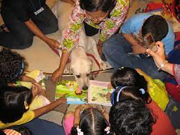 Animal Assisted Education Animal Angels Foundation