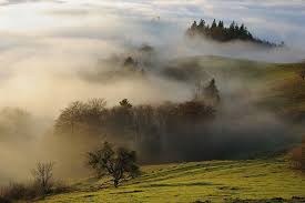Photos D Alsace Et Vosges Par Guy Wurth