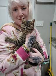 Lost Cat Found in Exmore VA near New Road Community Development