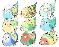 Pin By Strider Isnt Great With Camera On Bird Illustrations And Crafts Cute Animal Drawings Animal Drawings Cute Art