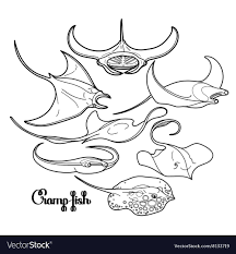 If the 'download' 'print' buttons don't work, reload this page by. Pin By Argen Temirbekov On Tengermely Manta Ray Tattoos Manta Ray Art