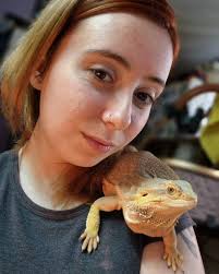 Salvia photo taken with phone camera