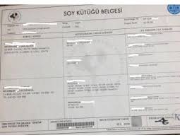 secere nedir kopeklerde secere nedir e soy kutuk belgesi nedir