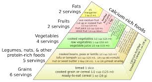 Breaking down the vegan food pyramid. File Vegan Food Pyramid Svg Wikimedia Commons