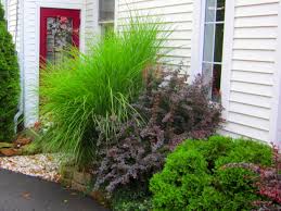 We have lotsof landscaping ideas for shady areas for you to go with. How To Design A Great Yard With Landscape Plants Diy