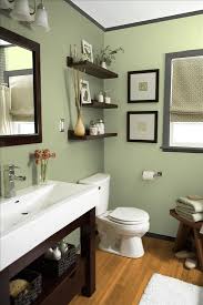 61 Amazing Sage Green Bathroom Design Ideas For Men Green Bathroom Small Bathroom Colors Bathroom Colors