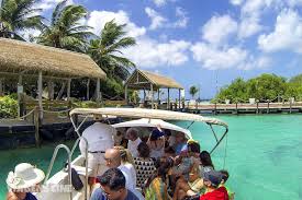 Flamingo Beach E Renaissance Island Passeios Em Aruba