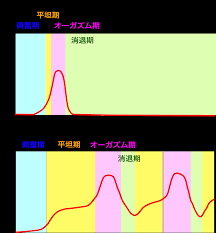 男 女 オーガズム