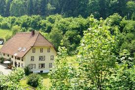 5 Pers Vakantiewoning Op Prachtige Locatie In Zwarte Woud Vakwerkhuizen Duitsland Dorpjes