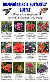 Find trusted, reliable customer reviews on contractors, restaurants, doctors. Hummingbird Butterfly Buffet From The Family Tree Garden Center Page Butterfly Garden Design Plants Hummingbird Garden